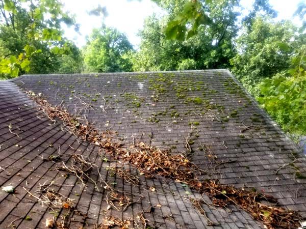 Roof shingles covered in black algae streaks and moss on a home in Little Rock AR