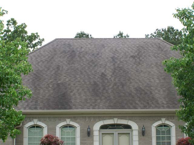 Before: Tall gray shingle hip roof on a stucco home after roof cleaning in the Little Rock area