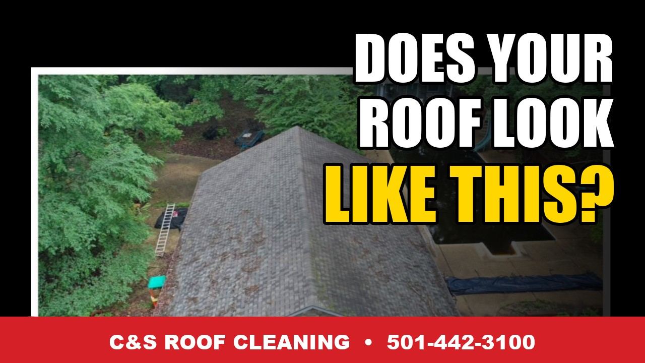 Video: Does Your Roof Look Like This? - C & S Roof Cleaning, Little Rock AR