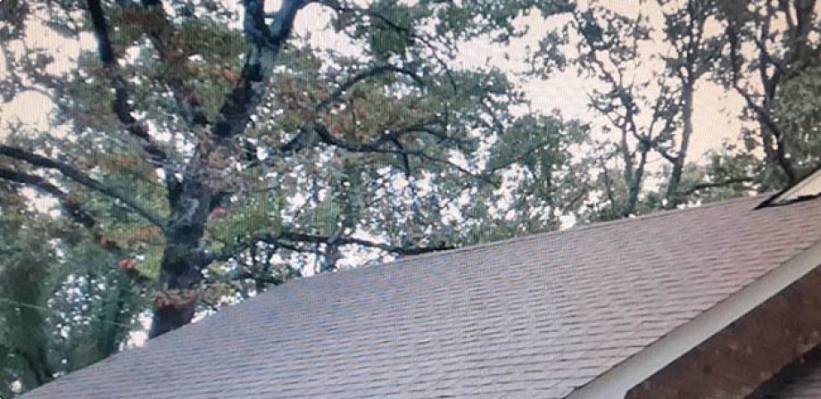 Roof Cleaning After Picture