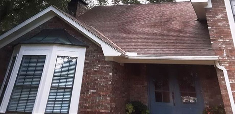 Roof Cleaning Before Picture