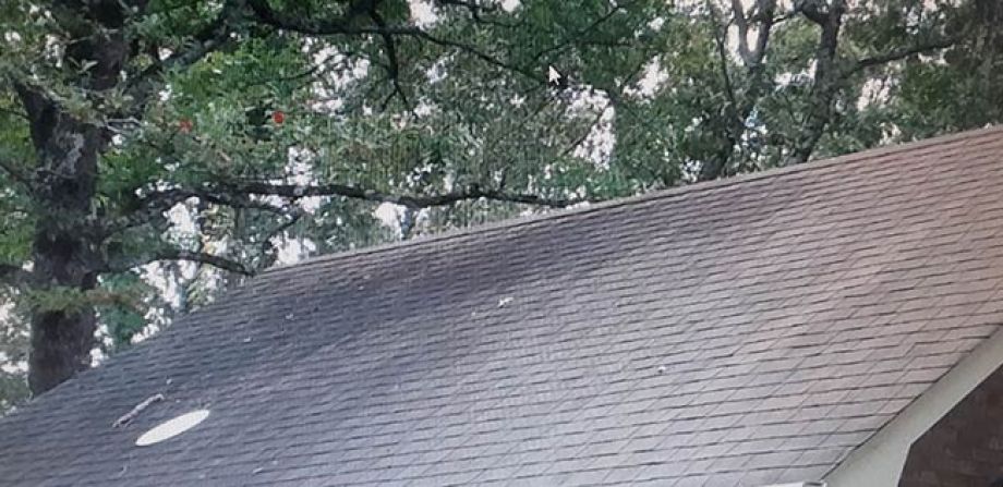 Roof Cleaning Before Picture