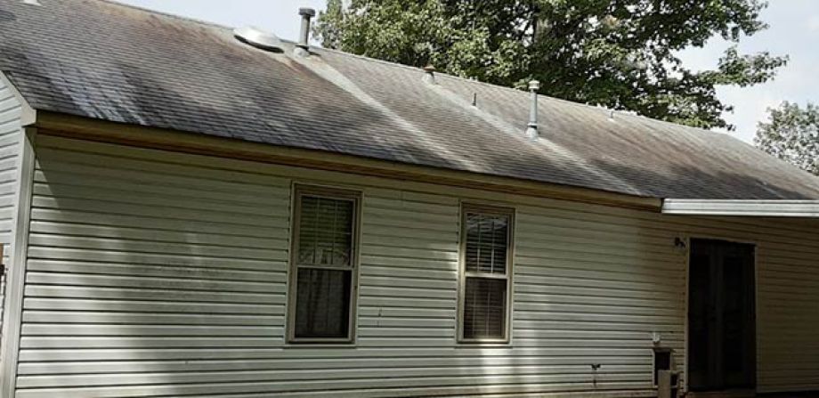 Roof Cleaning Before Picture