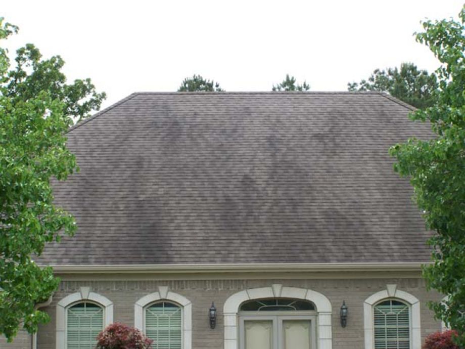 Roof Cleaning Before Picture