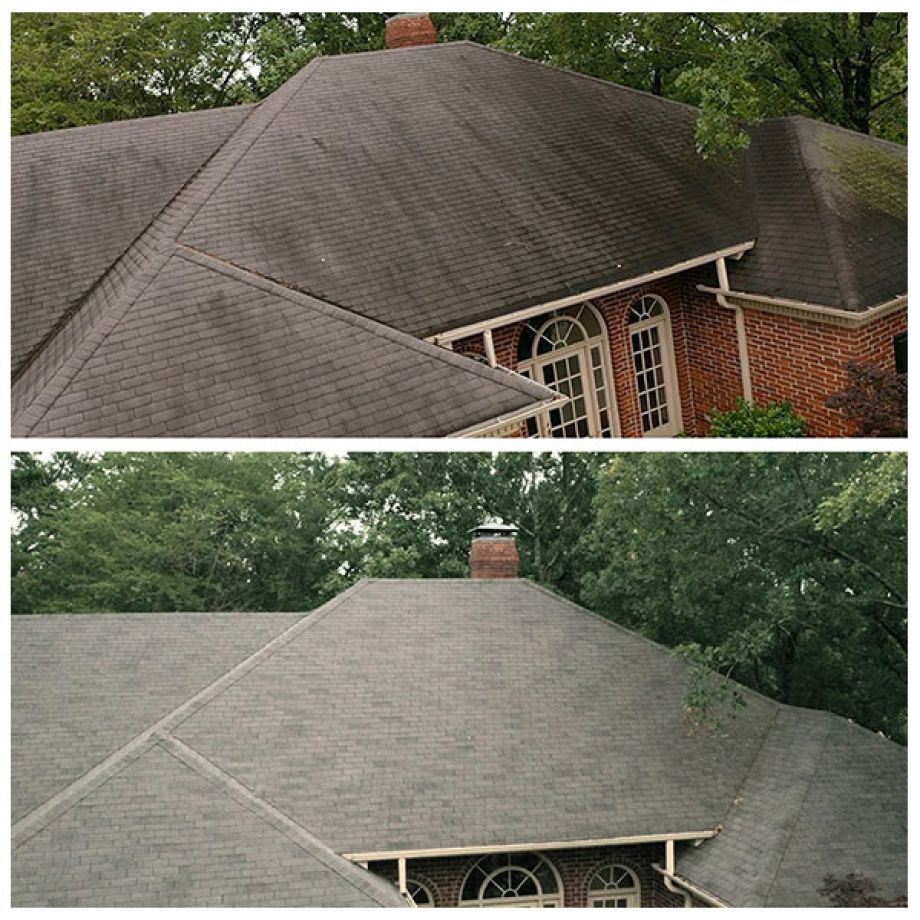 Roof Cleaning Mildew and Mold removal