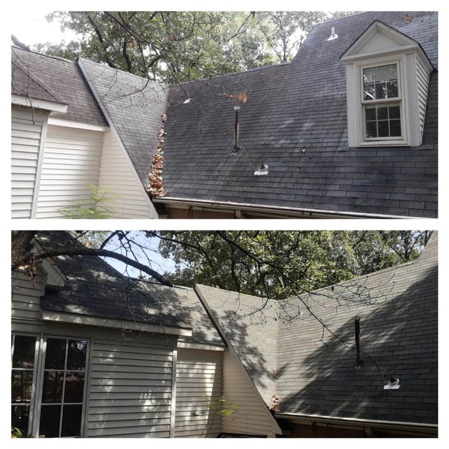 Roof Cleaning Mildew and Mold removal