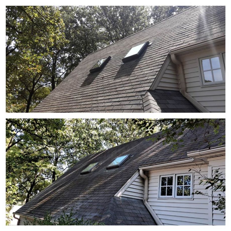Roof Cleaning Mildew and Mold removal