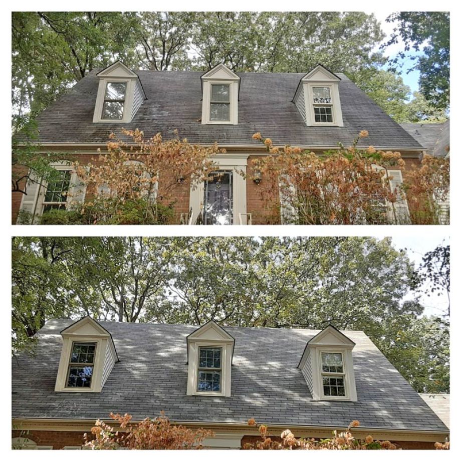 Roof Cleaning Mildew and Mold removal